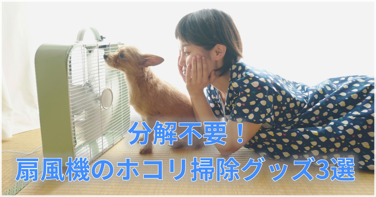 扇風機を掃除して笑顔の娘と愛犬