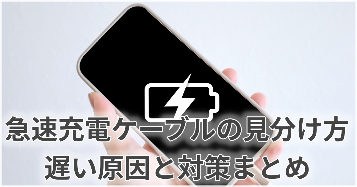 充電の仕様を確認している様子