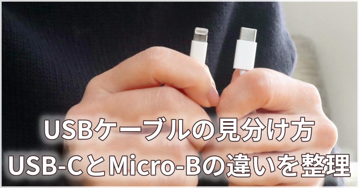 USB-CとMicro-Bを手にして比較している様子